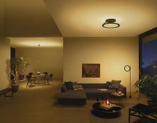 �ܹ���|DAIKO ����ŵ� ������� DCL-40642YG