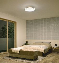 �ܹ���|DAIKO ����ŵ� Ĵ��������� DCL-41160