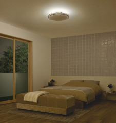 �ܹ���|DAIKO ����ŵ� Ĵ��������� DCL-41161