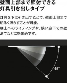 �����|DAIKO ����ŵ� ��˥С����������饤�� DDL-4700YW