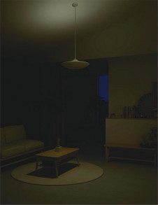 �����|DAIKO ����ŵ� Ĵ���ڥ����� DPN-40971