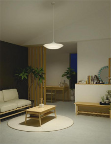 �ܹ���|DAIKO ����ŵ� Ĵ���ڥ����� DPN-40973