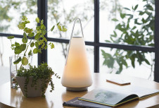 �ܹ���|DAIKO ����ŵ� ������� DST-40794R