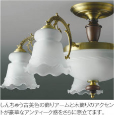 ��ħ�̿�|KOIZUMI �������߾��� �֥饱�å� AB47629L