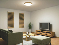 �ܹ���̿�|KOIZUMI �������߾��� ������� AH48974L