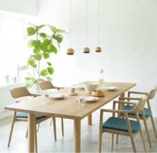 ܹ̿|KOIZUMI ߾ ڥ AP50283