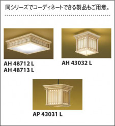 ��������|KOIZUMI �������߾��� �����ڥ����� AP50294