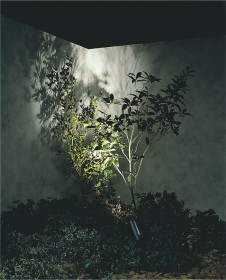 �ܹ���̿�|KOIZUMI �������߾��� �������ƥꥢ���ѥ������ݥå� AU42387L