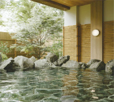 �ܹ���̿�|KOIZUMI �������߾��� �ɱ��ɼ����֥饱�å� AW50471