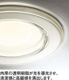 ODELIC �����ǥ�å� �Х��롼��饤�� OD261030LD �̿�1