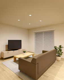 ODELIC �����ǥ�å� ������饤�� OD361347R �̿�5