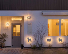 ODELIC �����ǥ�å� �������ƥꥢ�饤�� OG254645 �̿�1