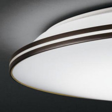 ODELIC �����ǥ�å� ������󥰥饤�� OL251215R �̿�2