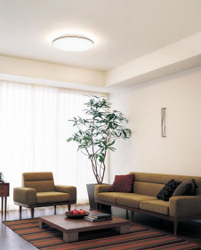 ODELIC �����ǥ�å� ������󥰥饤�� OL251216BCR �̿�1