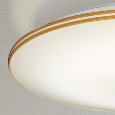 ODELIC �����ǥ�å� ������󥰥饤�� OL251540BRE �̿�1