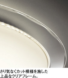 ODELIC �����ǥ�å� ������󥰥饤�� OL251706BCR �̿�2