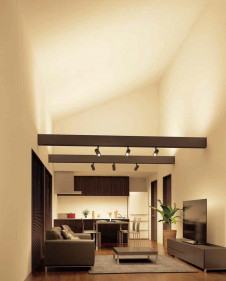 ODELIC �����ǥ�å� �����Ѵ��ܾ��� OL251809P1 �̿�2