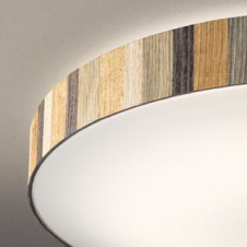 ODELIC �����ǥ�å� ������󥰥饤�� OL291408BRE �̿�4