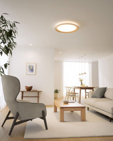 ODELIC �����ǥ�å� ������󥰥饤�� OL291489BCR �̿�1