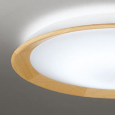 ODELIC �����ǥ�å� ������󥰥饤�� OL291489BCR �̿�2