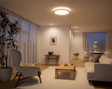 ODELIC �����ǥ�å� ������󥰥饤�� OL291489R �̿�4