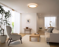 ODELIC ǥå 󥰥饤 OL291491BCR ̿3