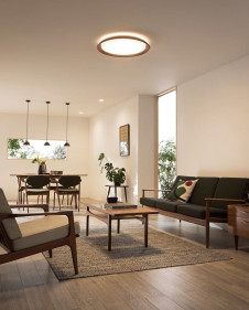 ODELIC ǥå 󥰥饤 OL291492BCR ̿1