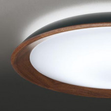 ODELIC �����ǥ�å� ������󥰥饤�� OL291494BCR �̿�2