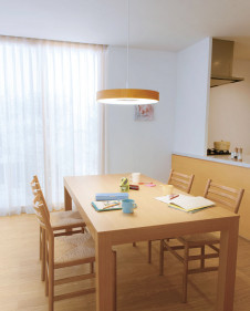 ODELIC �����ǥ�å� �ڥ����ȥ饤�� OP252039R �̿�2