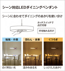 ODELIC �����ǥ�å� �ڥ����ȥ饤�� OP252039R �̿�6