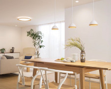 ODELIC �����ǥ�å� �ڥ����ȥ饤�� OP252744LDR �̿�4