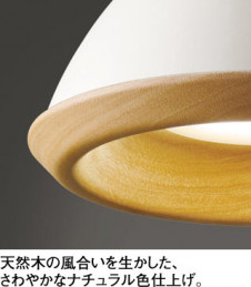 ODELIC �����ǥ�å� �ڥ����ȥ饤�� OP252745BCR �̿�2