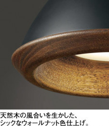 ODELIC �����ǥ�å� �ڥ����ȥ饤�� OP252746BCR �̿�2