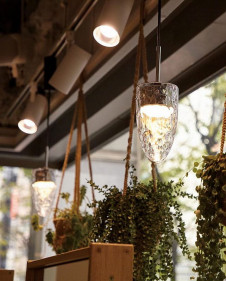 ODELIC �����ǥ�å� �ڥ����ȥ饤�� OP252803BCR �̿�2