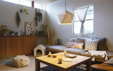 �ܹ��� | DAIKO ����ŵ� �ڥ����� DPN-41730Y