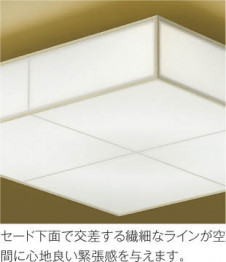 ħ̿ Koizumi ߾ AH48764L