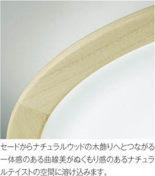 ħ̿ Koizumi ߾ AH48869L