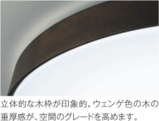 ��ħ�̿� Koizumi �������߾��� �������AH48972L