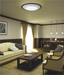 �ܹ���̿� Koizumi �������߾��� �������AH49005L