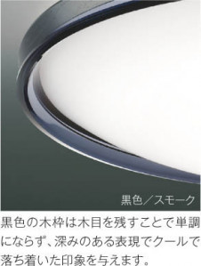 ��ħ�̿� Koizumi �������߾��� �������AH51209