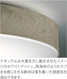 ��ħ�̿� Koizumi �������߾��� �������AH51447