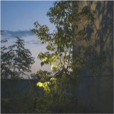 �ܹ���̿� Koizumi �������߾��� �������ƥꥢ���ѥ������ݥå�AU47310L