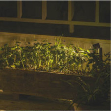 ܹ̿ Koizumi ߾ ƥꥢѥݥåAU47316L