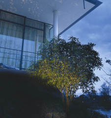 �ܹ���̿� Koizumi �������߾��� �������ƥꥢ���ѥ������ݥå�AU47317L