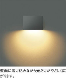 ��ħ�̿� Koizumi �������߾��� �ɱ����եåȥ饤��AU52542