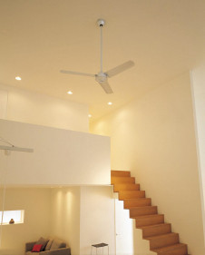 ܹ | ODELIC ǥå 󥰥ե WF406 | ̿饤ȥ