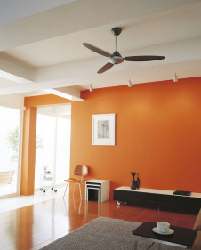 ܹ | ODELIC ǥå 󥰥ե WF506 | ̿饤ȥ