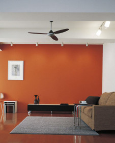 ܹ | ODELIC ǥå 󥰥ե WF506 | ̿饤ȥ