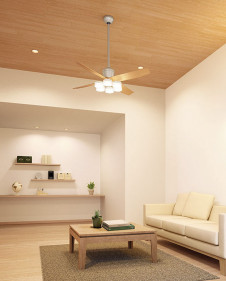 �ܹ������ | ODELIC �����ǥ�å� ������󥰥ե��� WF081 | ���������̿�����饤�ȥ�������