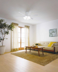 ܹ | ODELIC ǥå 󥰥ե WF237 | ̿饤ȥ